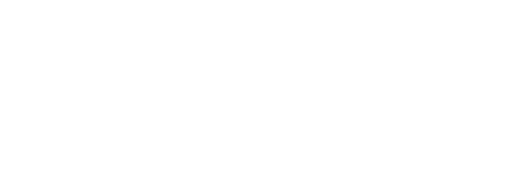 Texas Blockchain Council